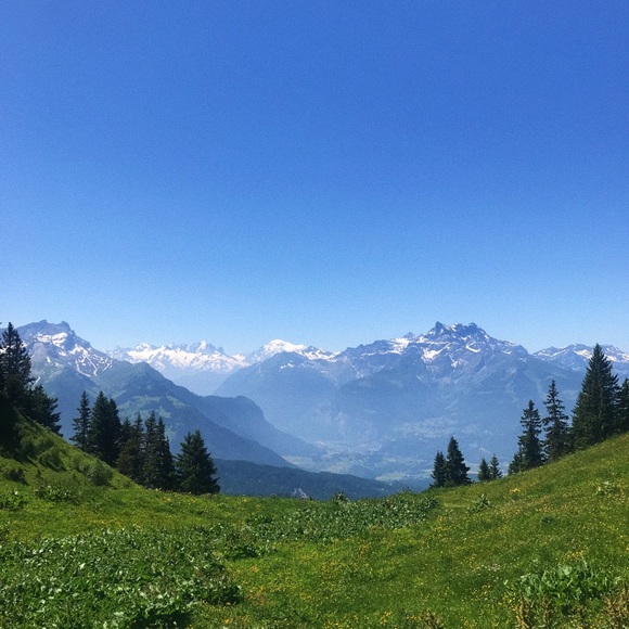 Meet your Posher, Samantha - Picture 1 of 1